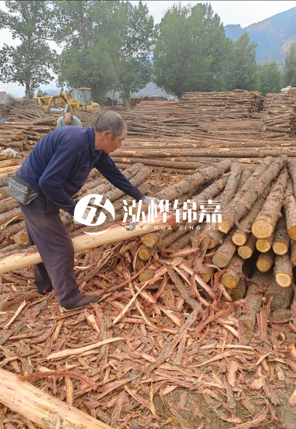 東營河道清淤專業(yè)施工隊-不同型號挖機清淤能力對比？