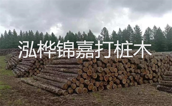 選擇紅磚護(hù)坡，打造獨(dú)特的美麗景觀