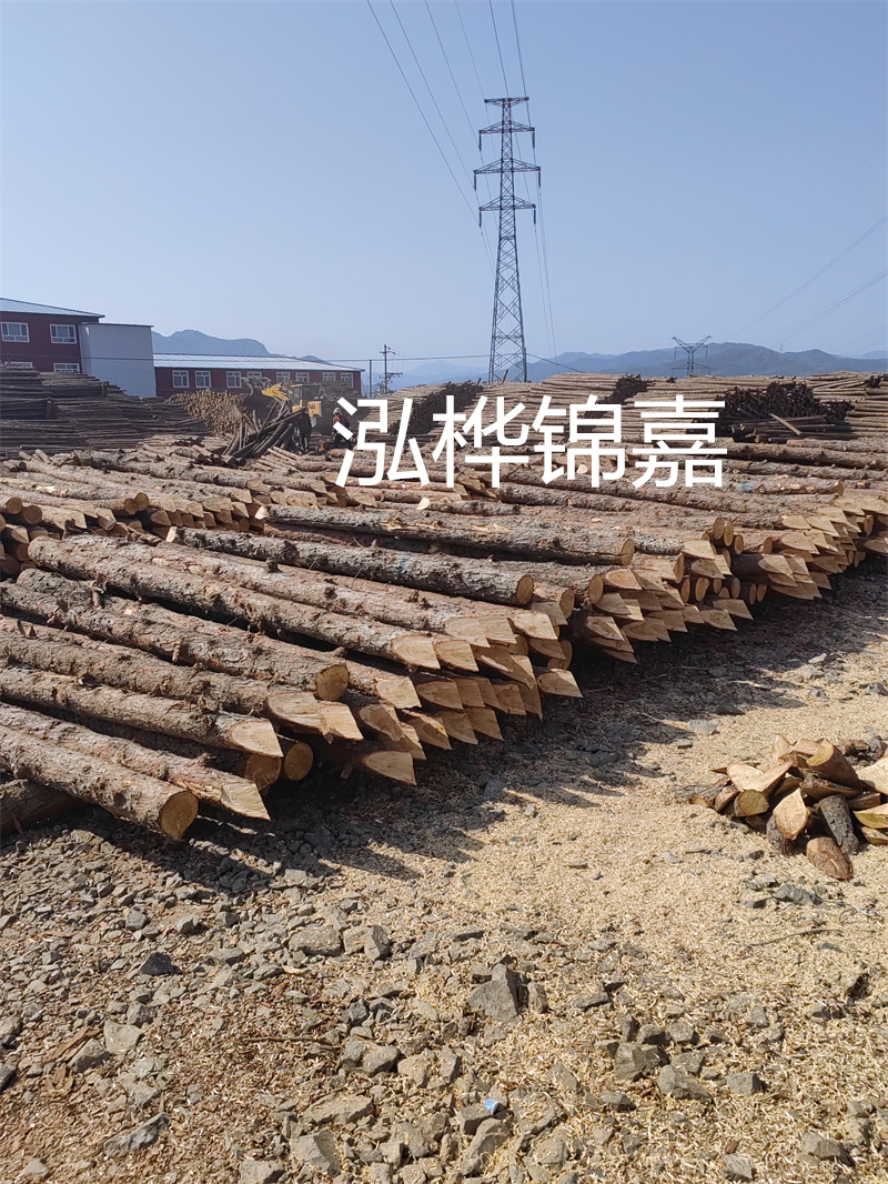 打造環(huán)保耐用的樹脂瓦四坡屋頂，追求高品質(zhì)居住體驗(yàn)