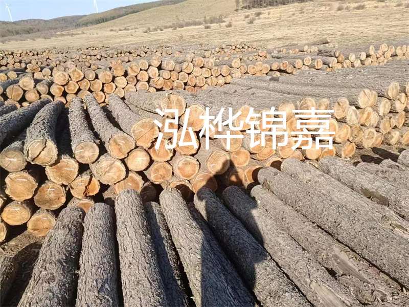 選擇合適的路緣石尺寸，打造美麗道路