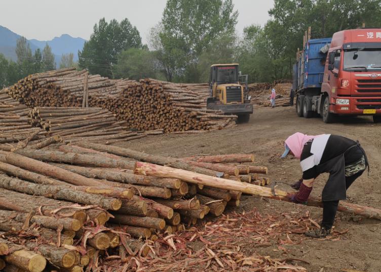 打造堅(jiān)實(shí)的地基，保障建筑安全和穩(wěn)定的關(guān)鍵